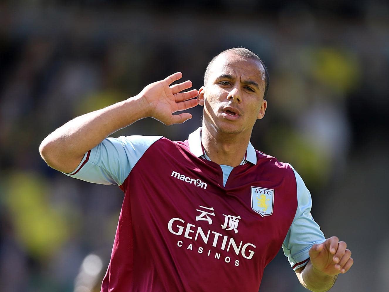 Gabby Agbonlahor